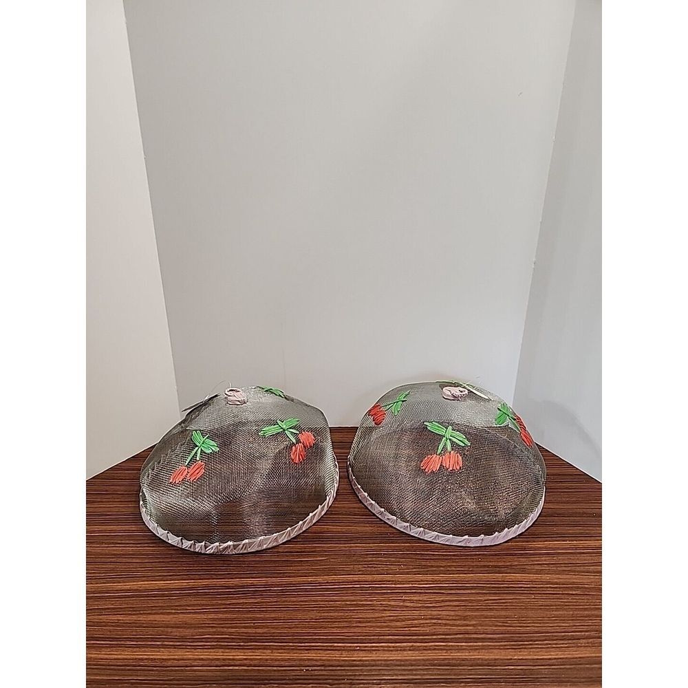2 12" Wire Mesh Food Co Domes w Hanging Loop Cherries BBQ PICNIC